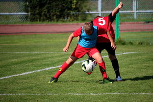 九游娱乐APP-中国足球俱乐部运营效率调查，中国足球俱乐部运营效率调查问卷